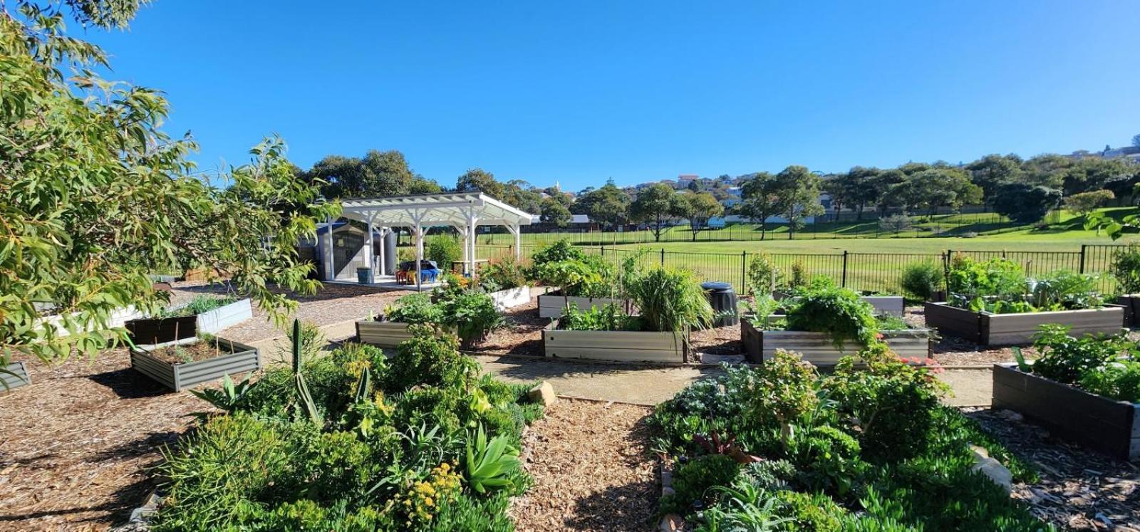 Maroubra House With Lush Garden Oasis *
